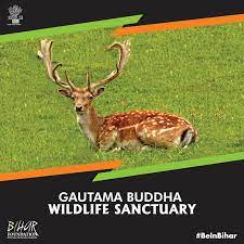 Gautam Budha Wildlife Sanctuary - Logo