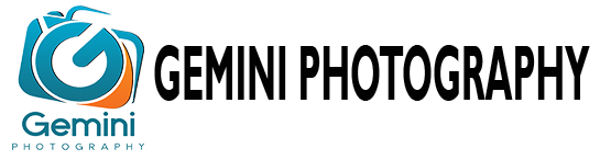 Gemini Digital Studio - Logo