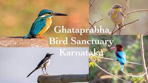 Ghataprabha wildlife sanctuary Logo