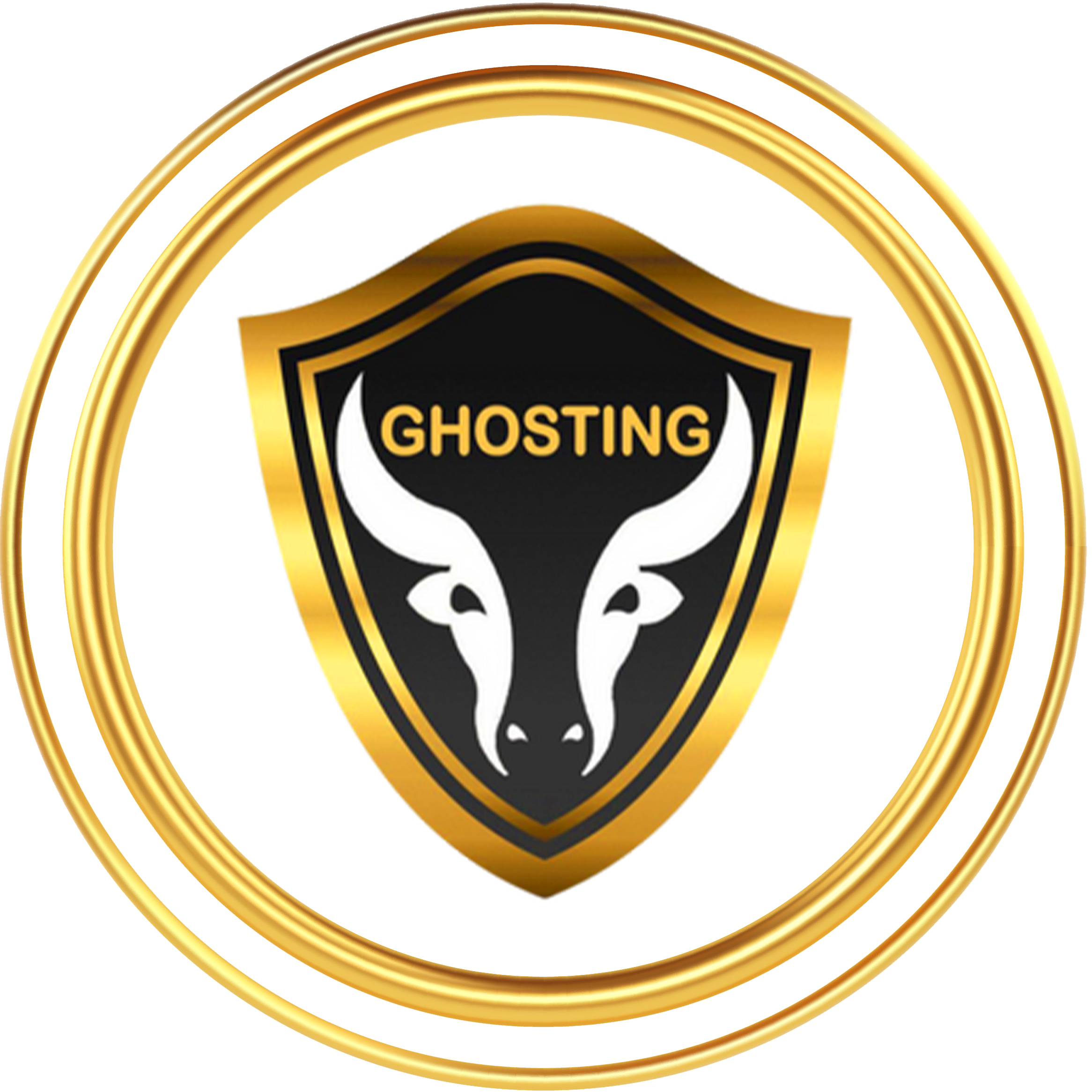Ghosting Tech|IT Services|Professional Services