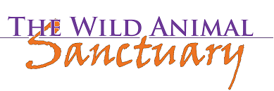 Girnar Wildlife Sanctuary Logo