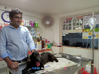 Global Veterinary Clinic and Surgery Centre Medical Services | Veterinary