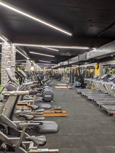Golds Gym Amritsar Active Life | Gym and Fitness Centre
