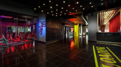 Golds Gym Active Life | Gym and Fitness Centre