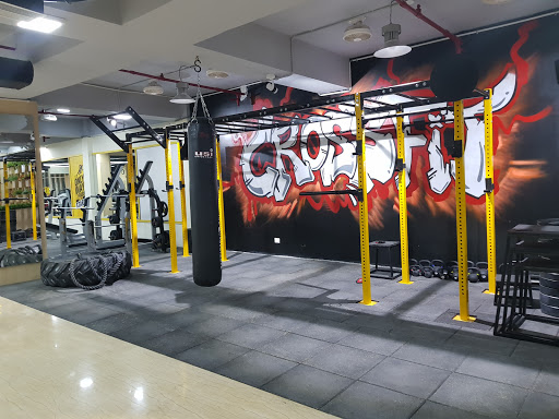 Golds Gym Active Life | Gym and Fitness Centre