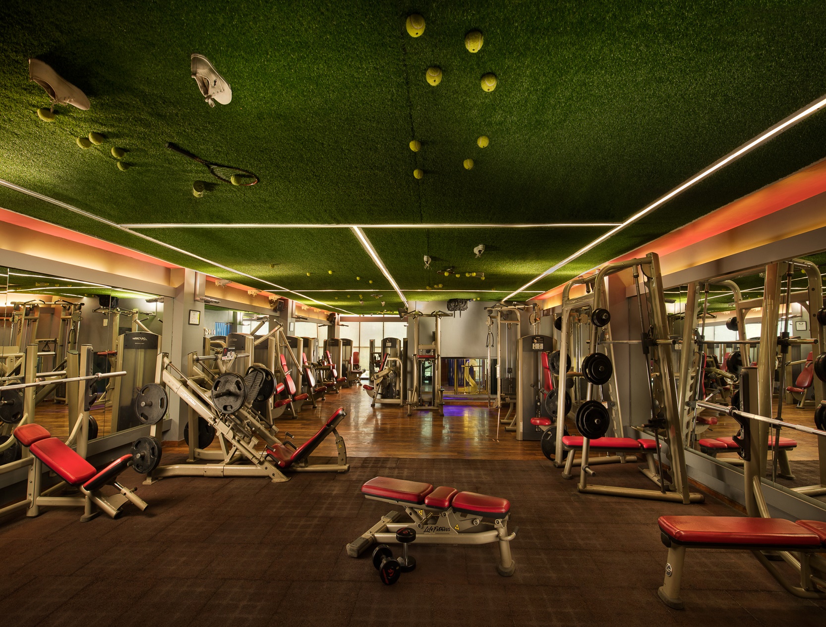 Golds Gym Active Life | Gym and Fitness Centre