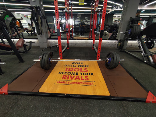 Golds Gym Active Life | Gym and Fitness Centre