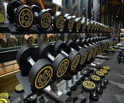 Golds Gym Active Life | Gym and Fitness Centre