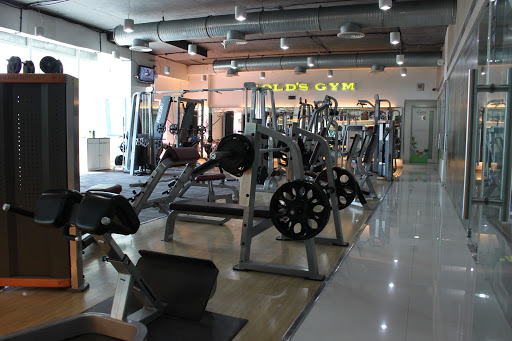 Golds Gym Active Life | Gym and Fitness Centre