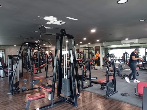 Golds Gym Active Life | Gym and Fitness Centre