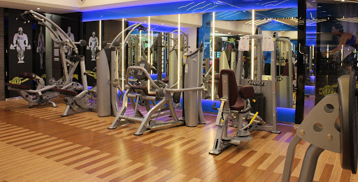 Golds Gym Active Life | Gym and Fitness Centre