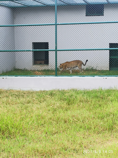 Gorakhpur Zoological Garden Travel | Zoo and Wildlife Sanctuary 