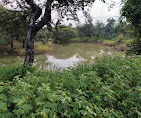 Gorewada lake Travel | Lake