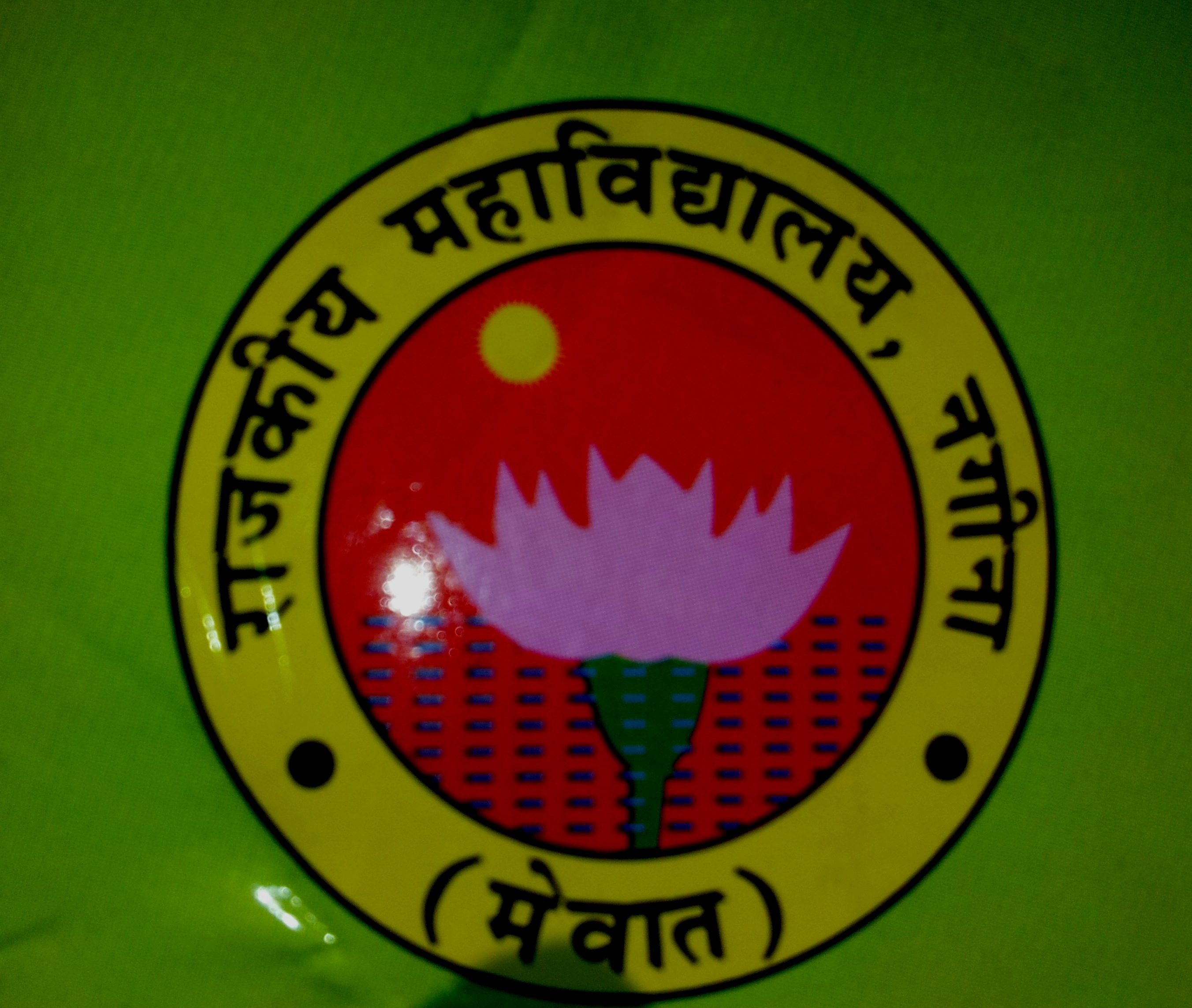 Government College - Logo