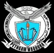 GOVERNMENT PRIMARY SCHOOL PETHGAM WAGOORA - Logo