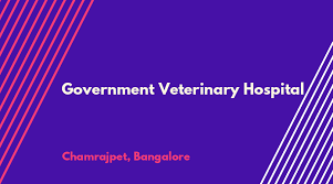 Government Veterinary Hospital Logo