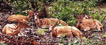 Govind Pashu Vihar Wildlife Sanctuary Travel | Zoo and Wildlife Sanctuary 