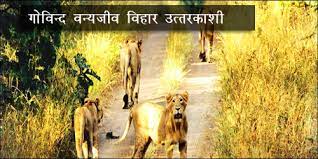 Govind Pashu Vihar Wildlife Sanctuary Logo
