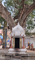 Govindaraja Temple, Tirupati Religious And Social Organizations | Religious Building