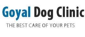 Goyal Dog Clinic Logo