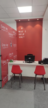 Gray Jay Immigration Professional Services | Legal Services