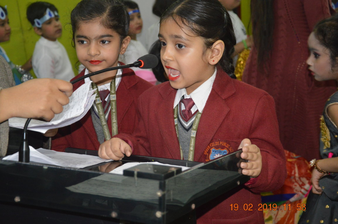 Green Field Public School Shahdara Schools 003