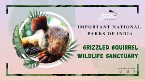 Grizzled Squirrel Wildlife Sanctuary Logo