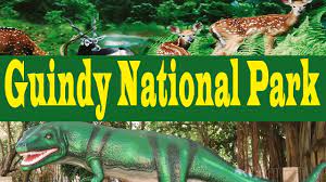 Guindy National Park|Lake|Travel