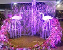 Gulab Vatika Marriage Garden|Banquet Halls|Event Services