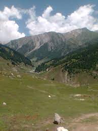 Gulmarg Wildlife Sanctuary Travel | Zoo and Wildlife Sanctuary 