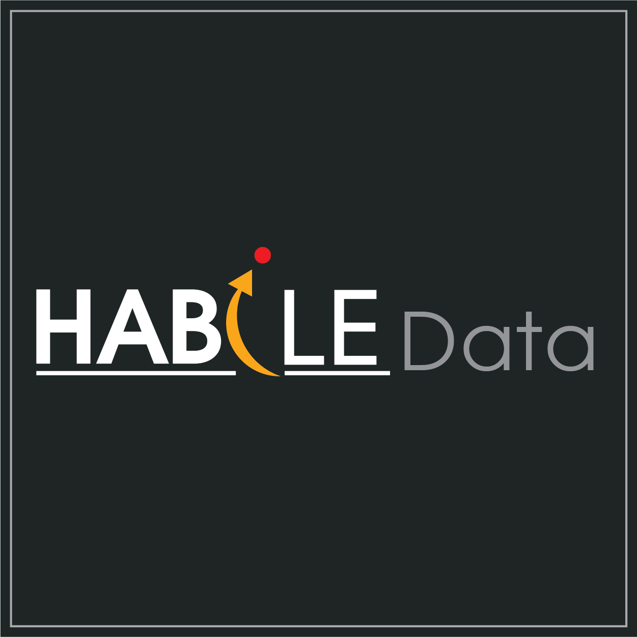 HabileData|Architect|Professional Services