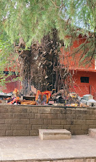 Hadimba Devi Temple Religious And Social Organizations | Religious Building