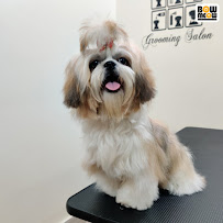 Happy Tails Pet Clinic Medical Services | Veterinary