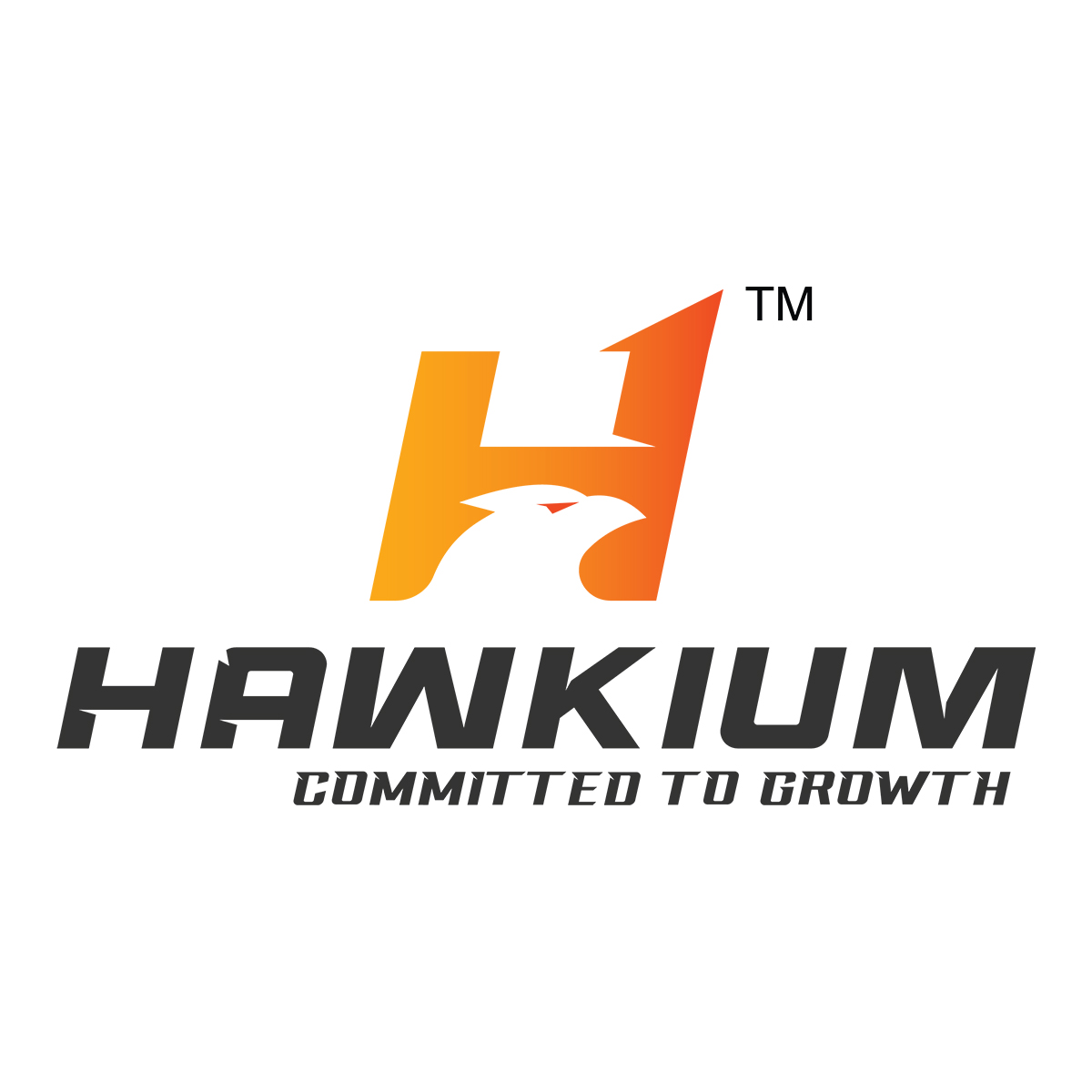 Hawkium Digital Marketing Agency|Marketing Company|Professional Services