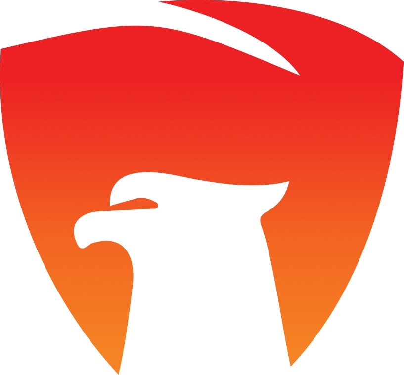 Hawkshield|IT Services|Professional Services