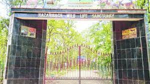 Hazaribag Wildlife Sanctuary Travel | Zoo and Wildlife Sanctuary 