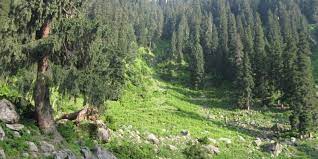 Hirpora Wildlife Sanctuary Travel | Zoo and Wildlife Sanctuary 