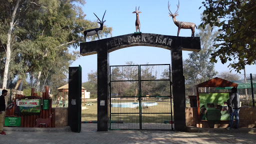 Hisar Deer Park Travel | Zoo and Wildlife Sanctuary 