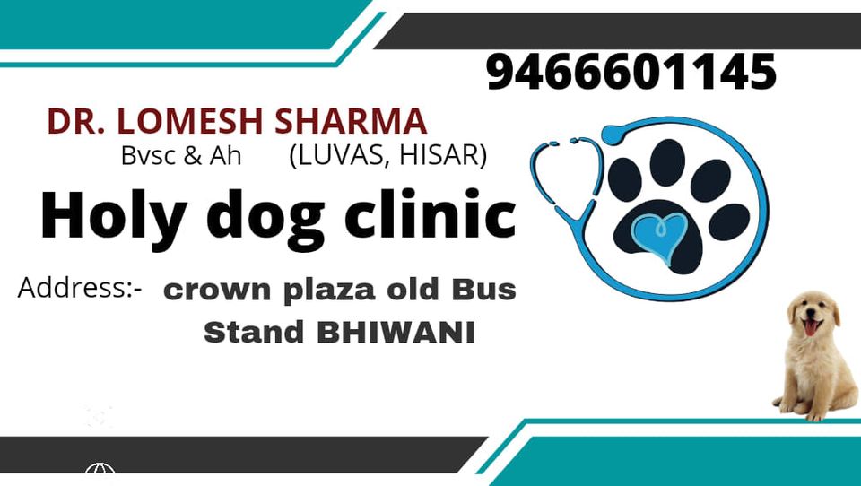 Holy dog clinic Bhiwani - Logo