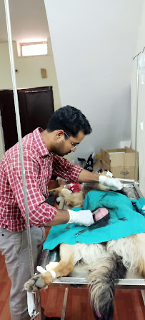 Home Pet Care Clinic Jaipur - Veterinary in Jaipur | Joon Square