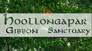 Hoollongapar Gibbon Sanctuary - Logo