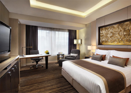 Hotel Bhadras Grand Accomodation | Hotel