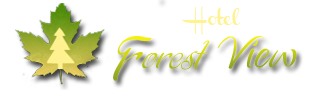 Hotel Forest|Resort|Accomodation