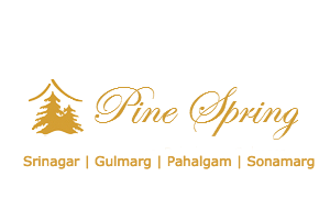 Hotel Pine Spring Logo