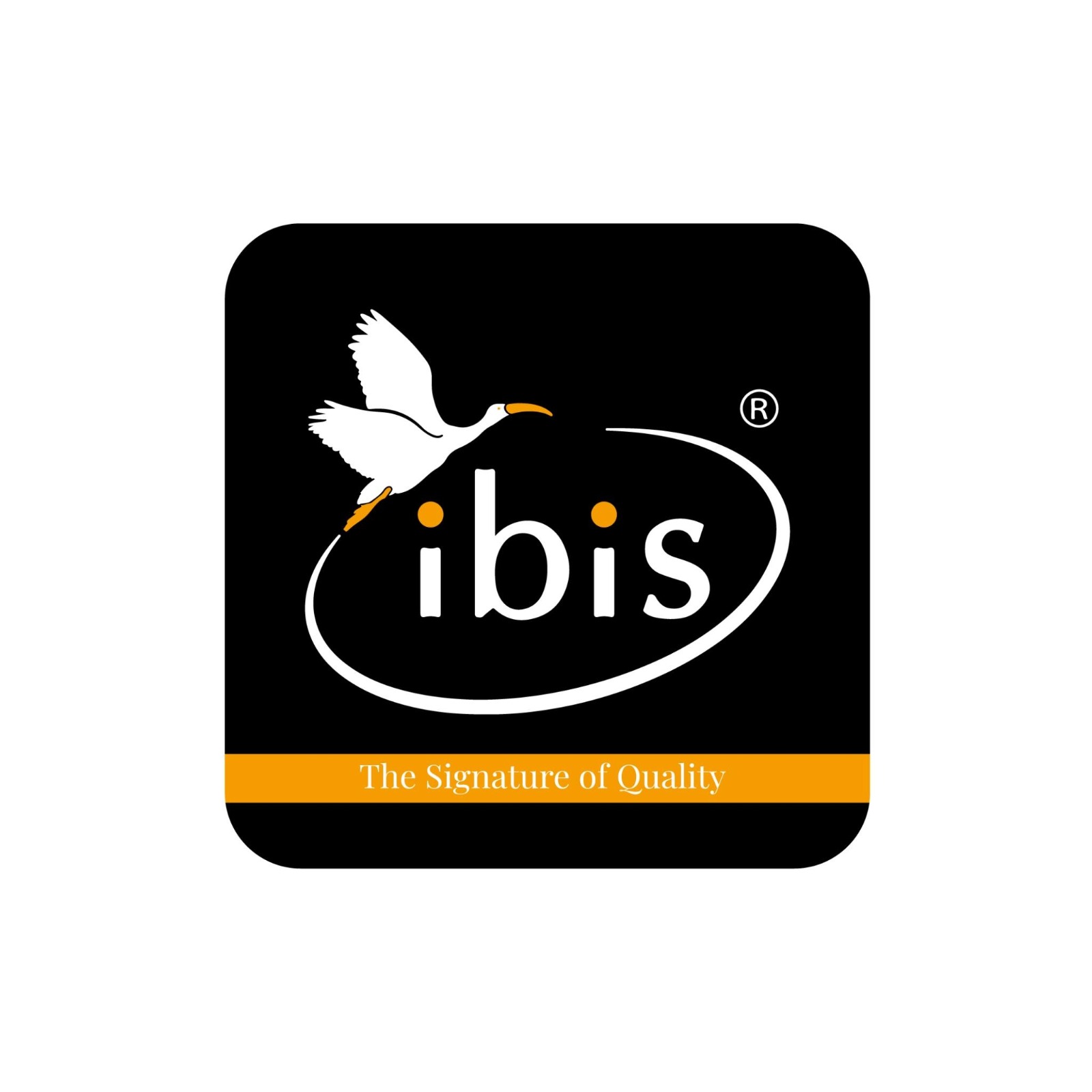 Ibis Fitness Kochi|Coaching Institute|Education