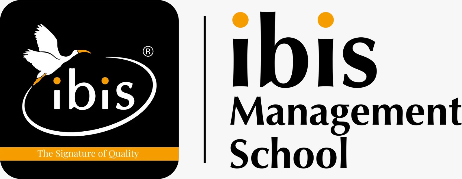 Ibis Management School|School|Education