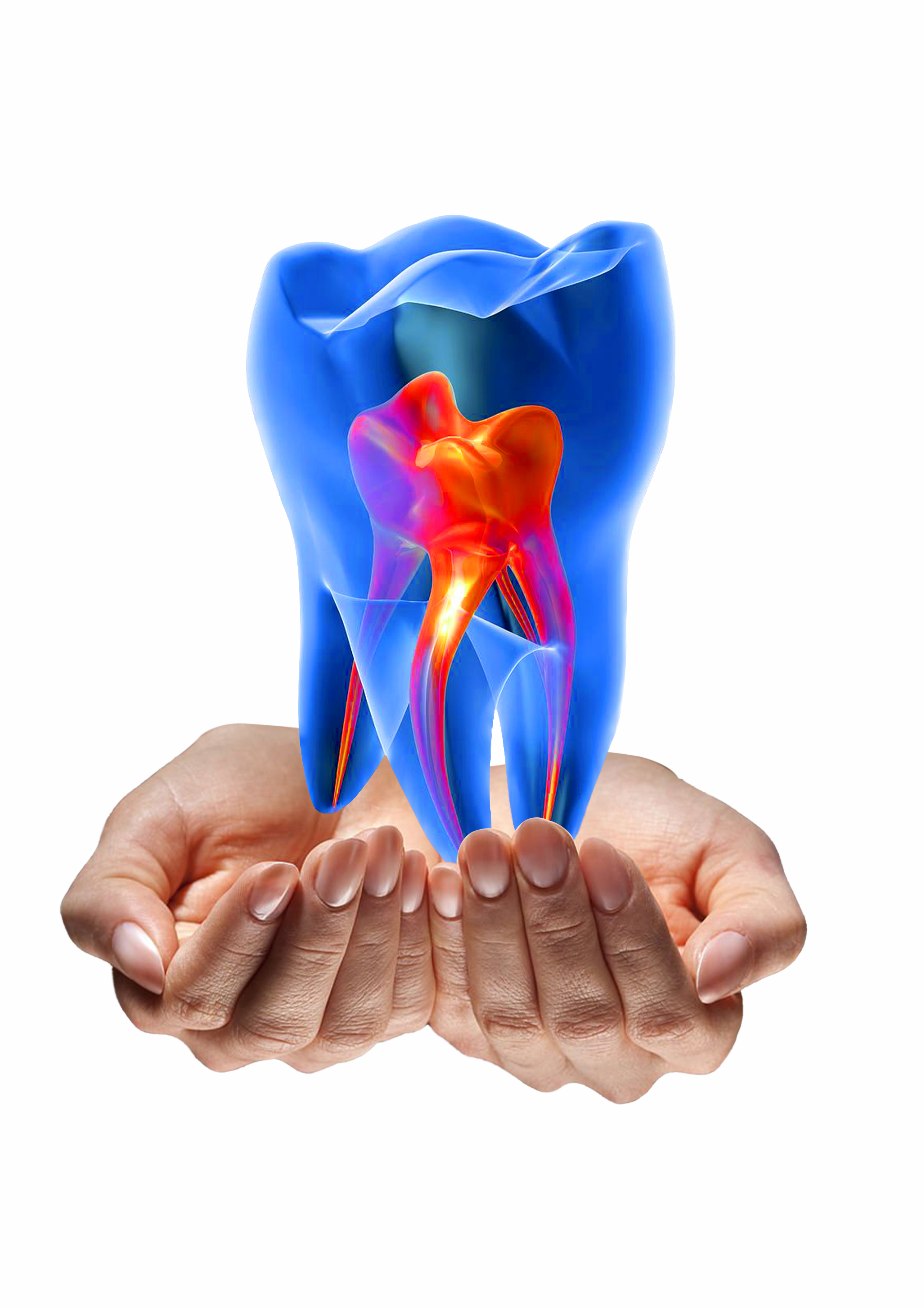 InArt Dental Studio|Dentists|Medical Services