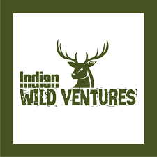 Indian Wild Ventures|Photographer|Event Services
