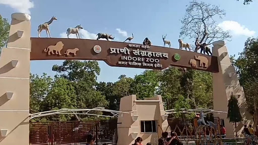 Indore Zoo Travel | Zoo and Wildlife Sanctuary 