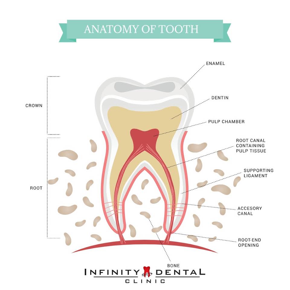 Infinity Dental Clinic Medical Services | Dentists
